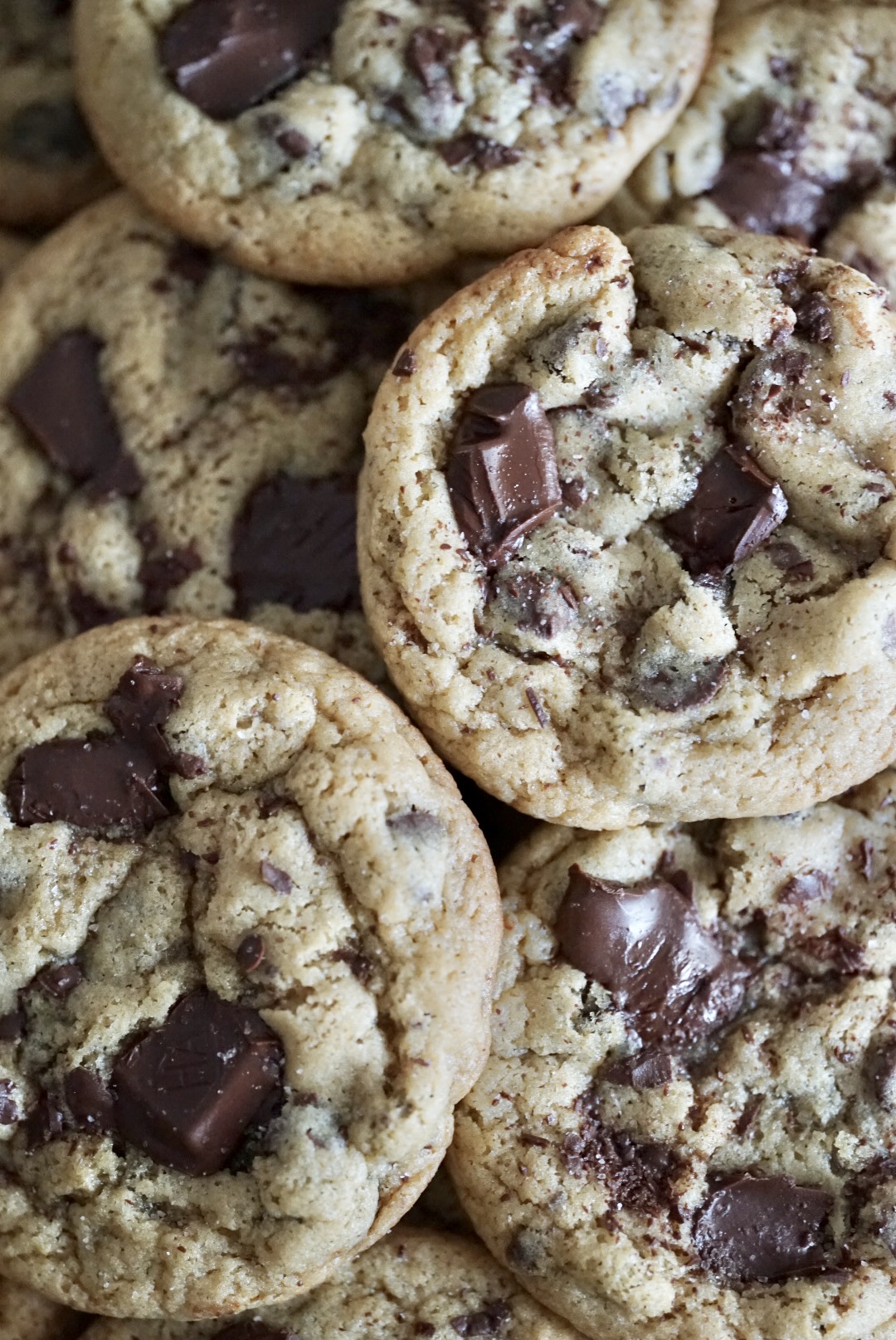 Chocolate Chunk Cookie Box - 12 count