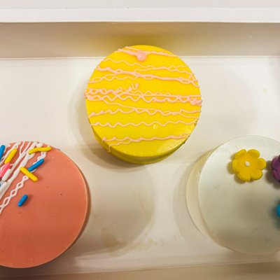 Cake Pucks By The Dozen