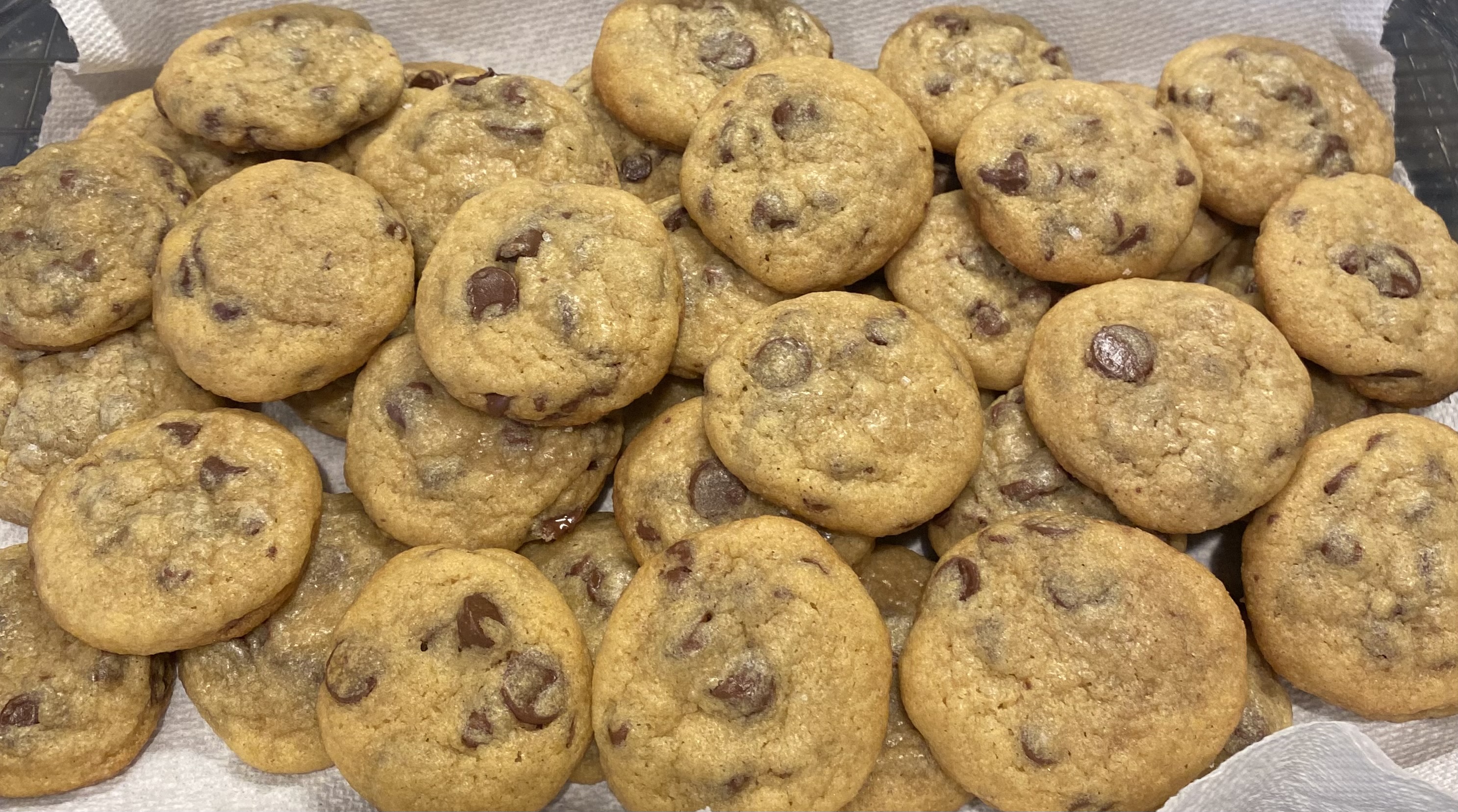Bakers Dozen - Mini Chocolate Chip Cookies