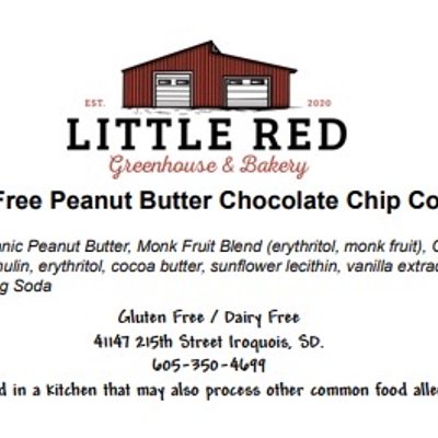 Sugar Free Peanut Butter Chocolate Chip Cookie 