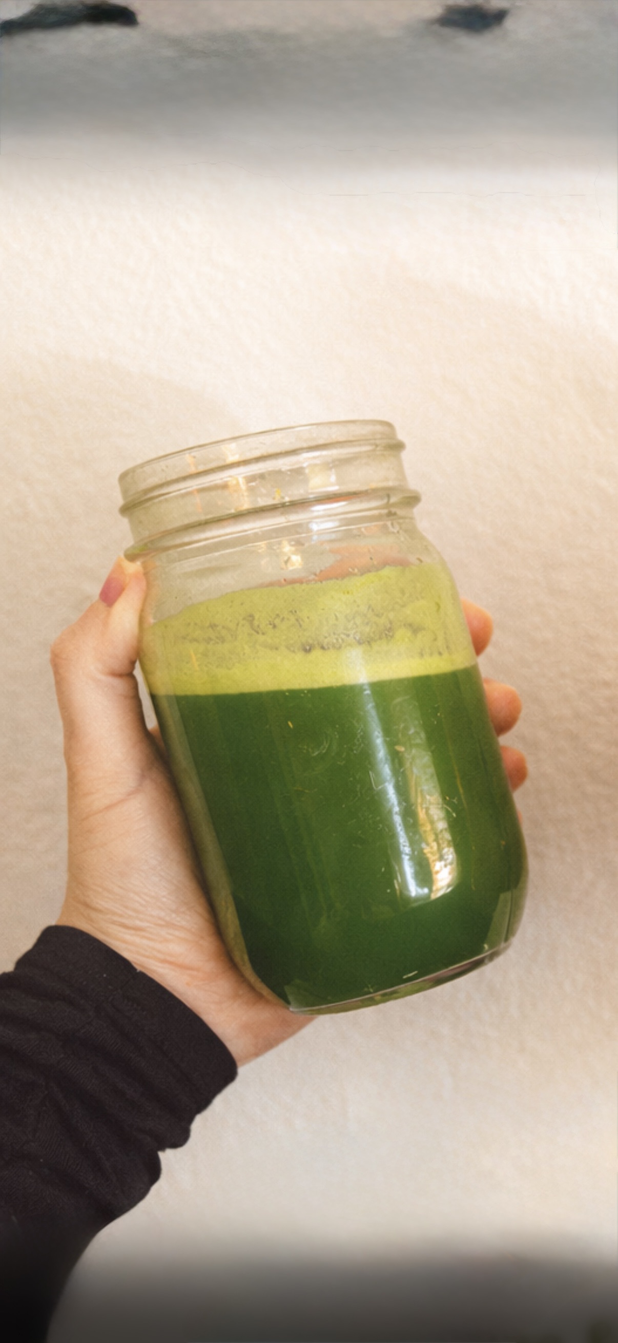 Garden Green Juice 