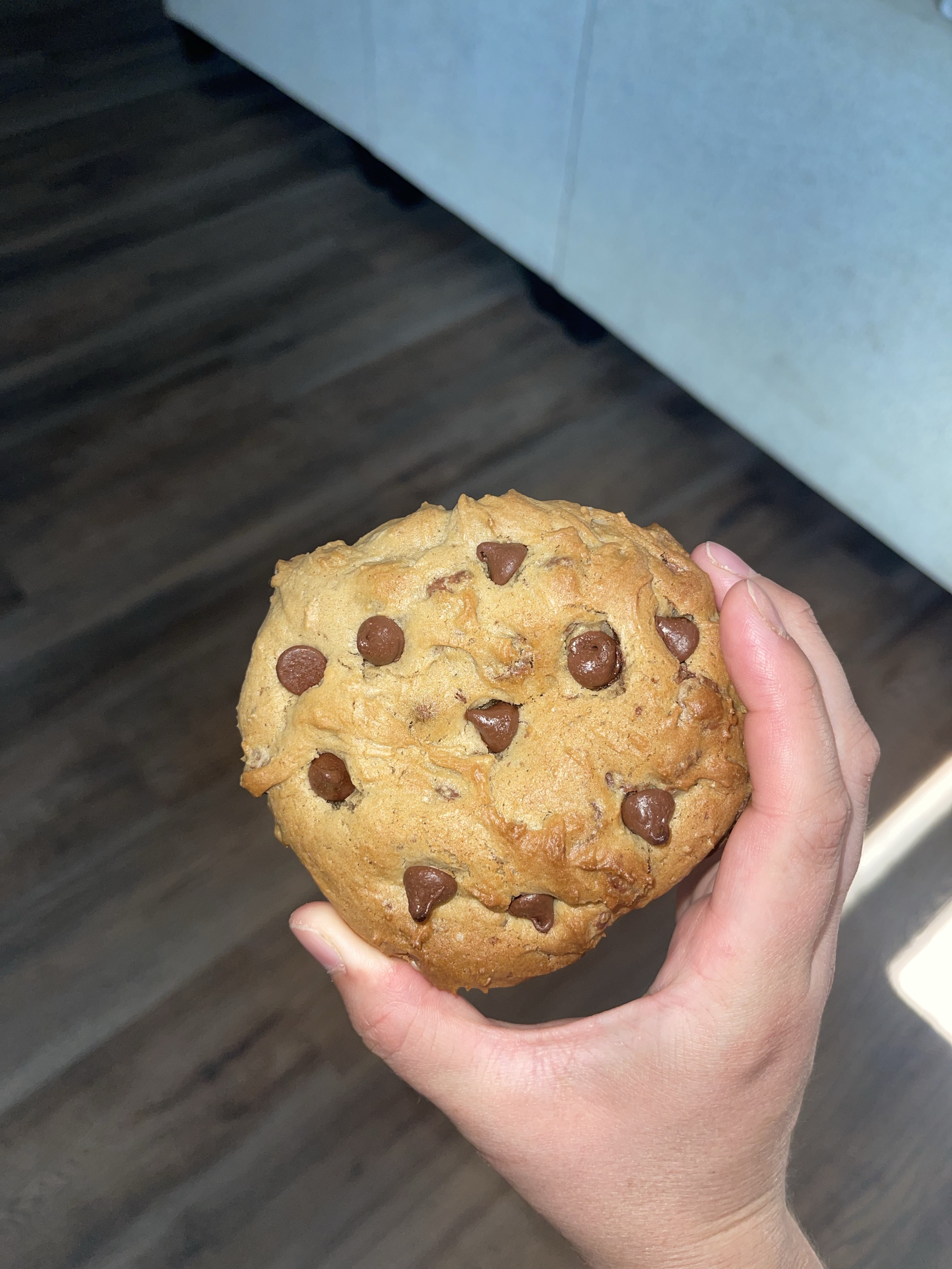 1/2 Dozen Fudgy Chocolate Chip Cookies
