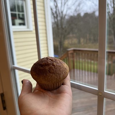 Snickerdoodle Sourdough Muffins 