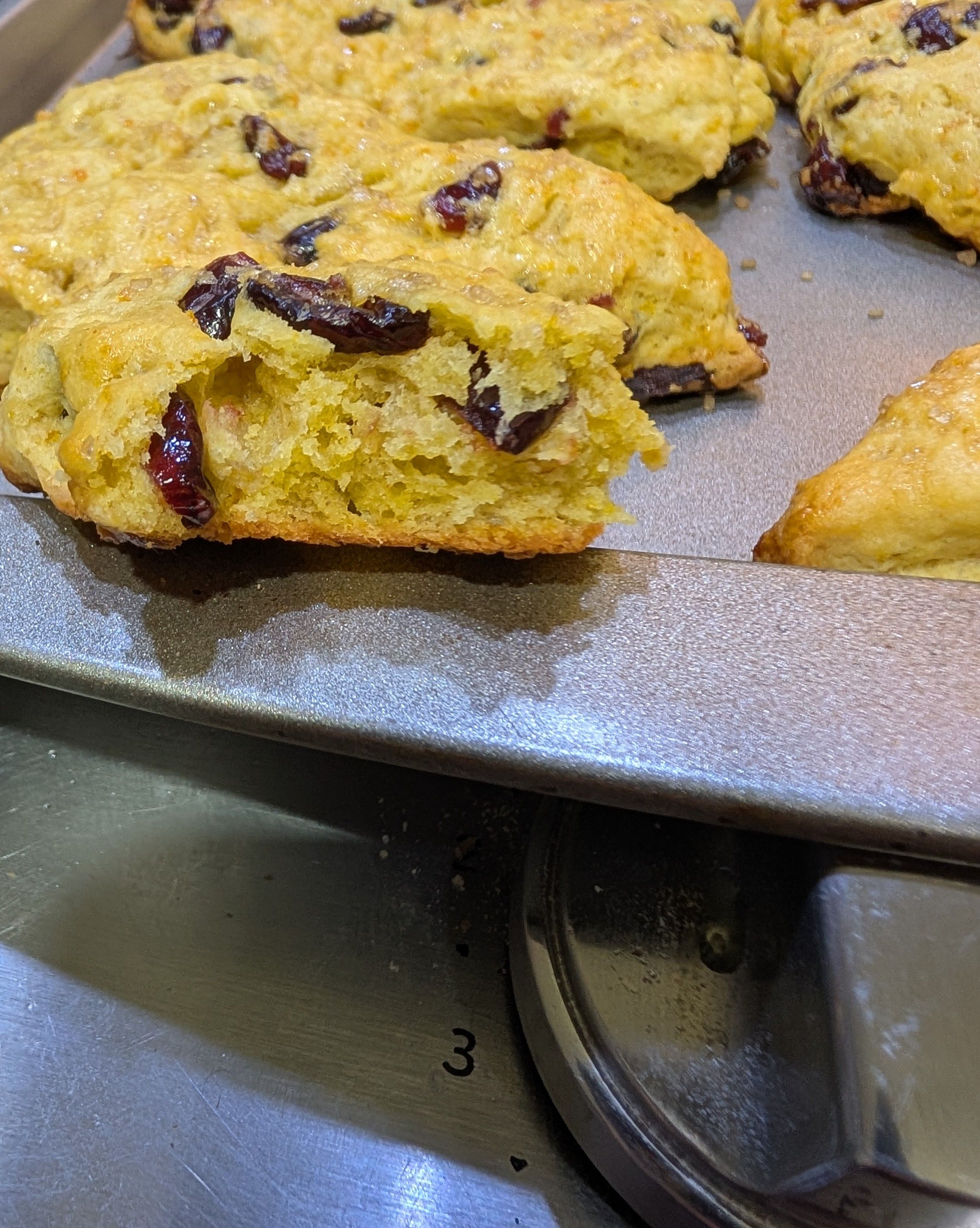 Cranberry Orange Sourdough Scones