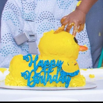 Smash Cakes ( Baby First Birthday) 