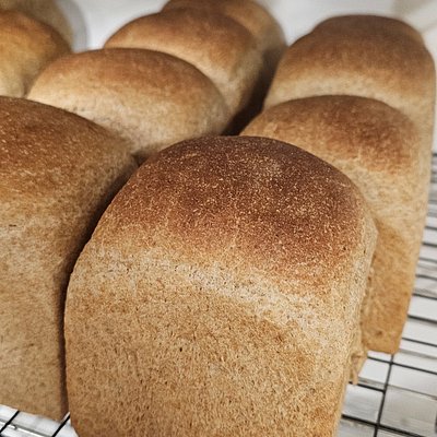 Happy Wheat/Small