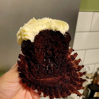 6 Chocolate Cupcakes 