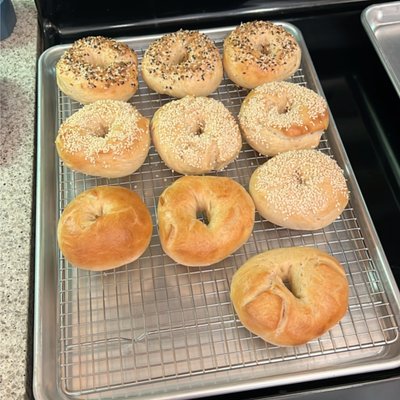 Sourdough Bagels