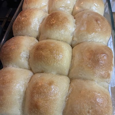 Sourdough Dinner Rolls 
