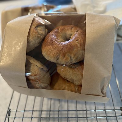 Sourdough Bagels - Half Dozen