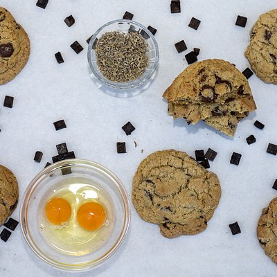 Lavendar Chocolate Chip