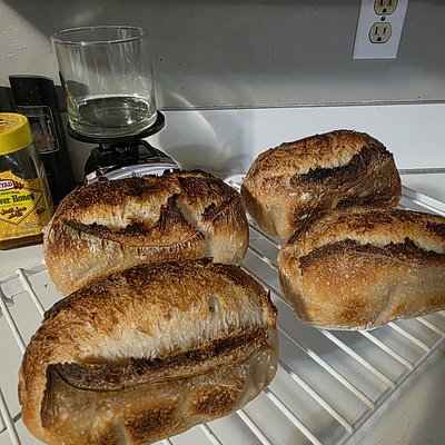Miniature Sourdough Breads 