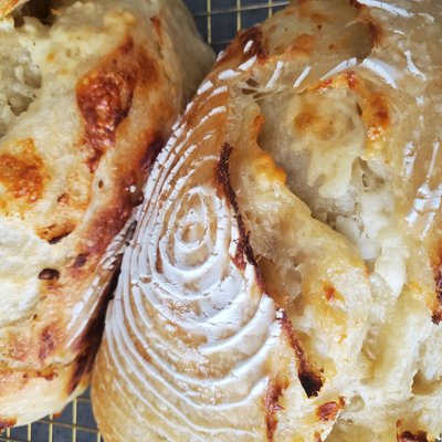 Asiago Sourdough