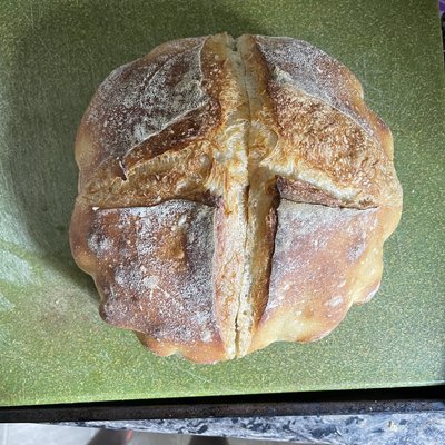 Gluten free Sourdough