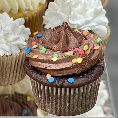 Chocolate Cupcake