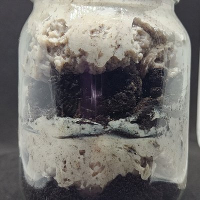 Oreo Cheesecake In A Jar