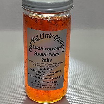 Watermelon Apple Mint 9.5oz