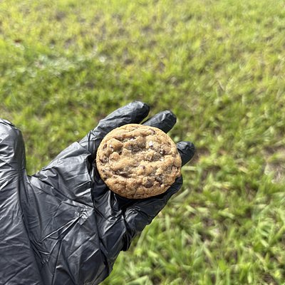 Chocolate Chip - 2 Pack 