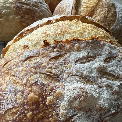Plain Sourdough Boule 