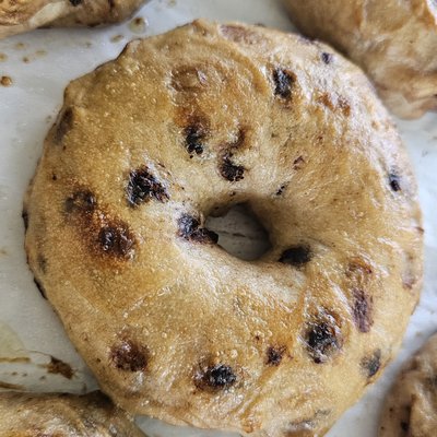 Chocolate Chip Bagels