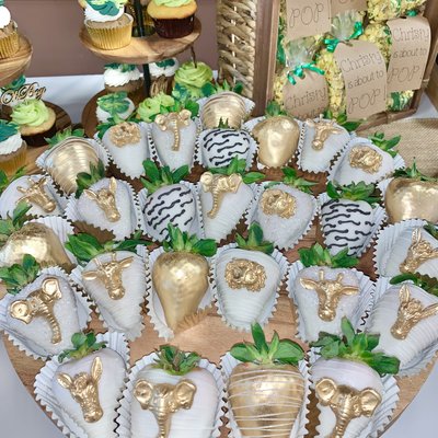 Safari Theme Party Package - 3 Dozen Treats
