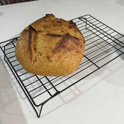 Pumpkin Sourdough Loaf