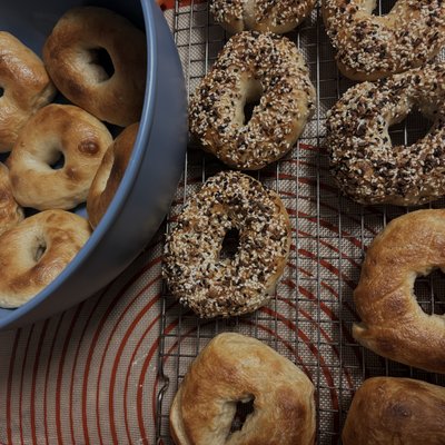Sourdough Bagels (6) (New York Style)