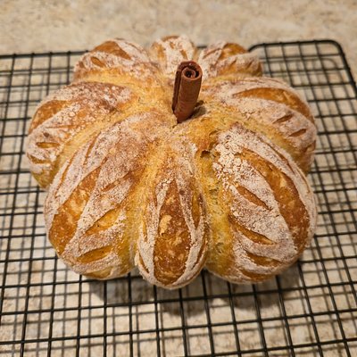 Pumpkin Pie Sourdough 