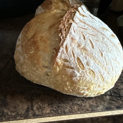Classic Sourdough Boule (round) 