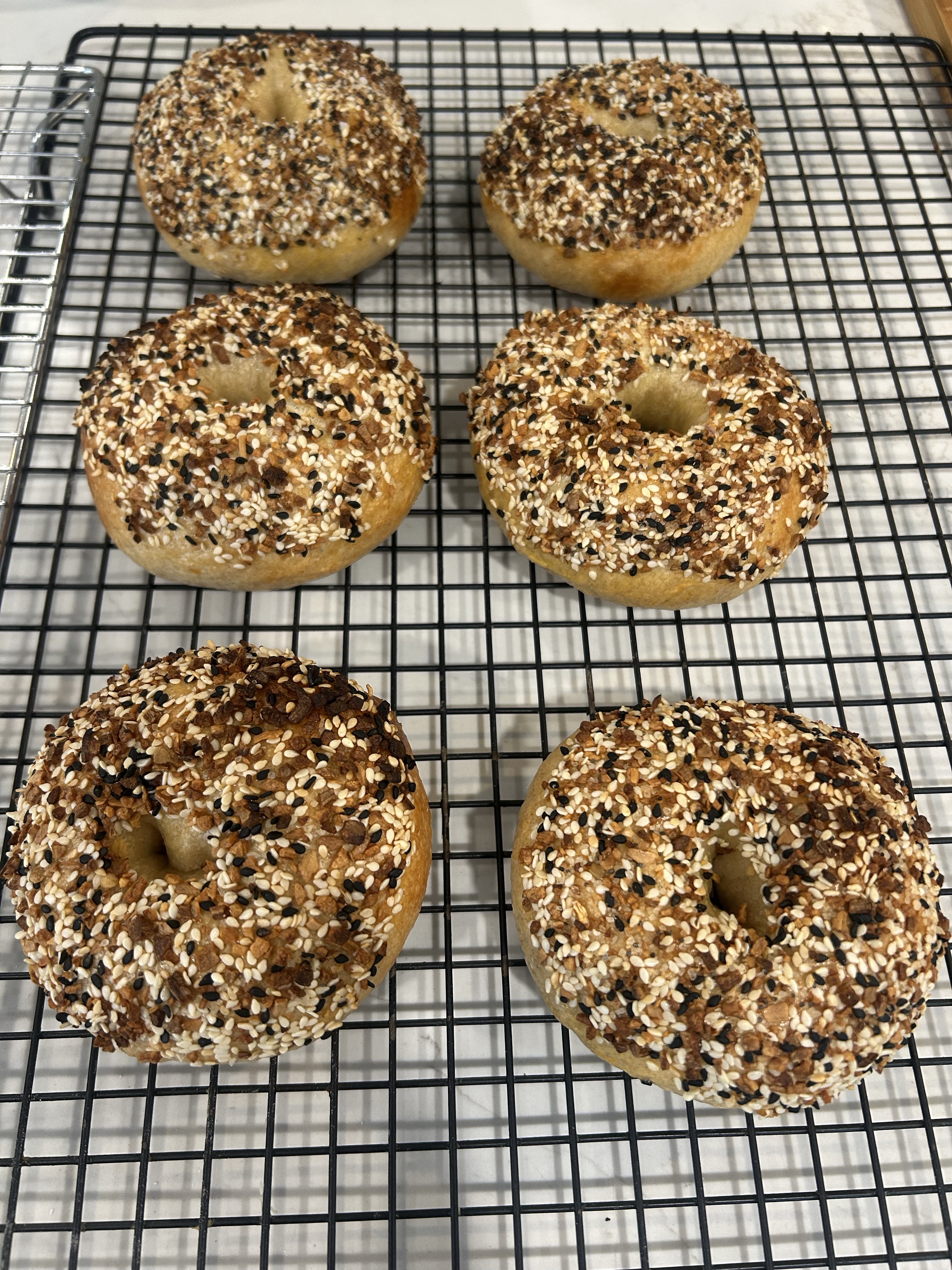 Everything Sourdough Bagels Half Dozen (6)