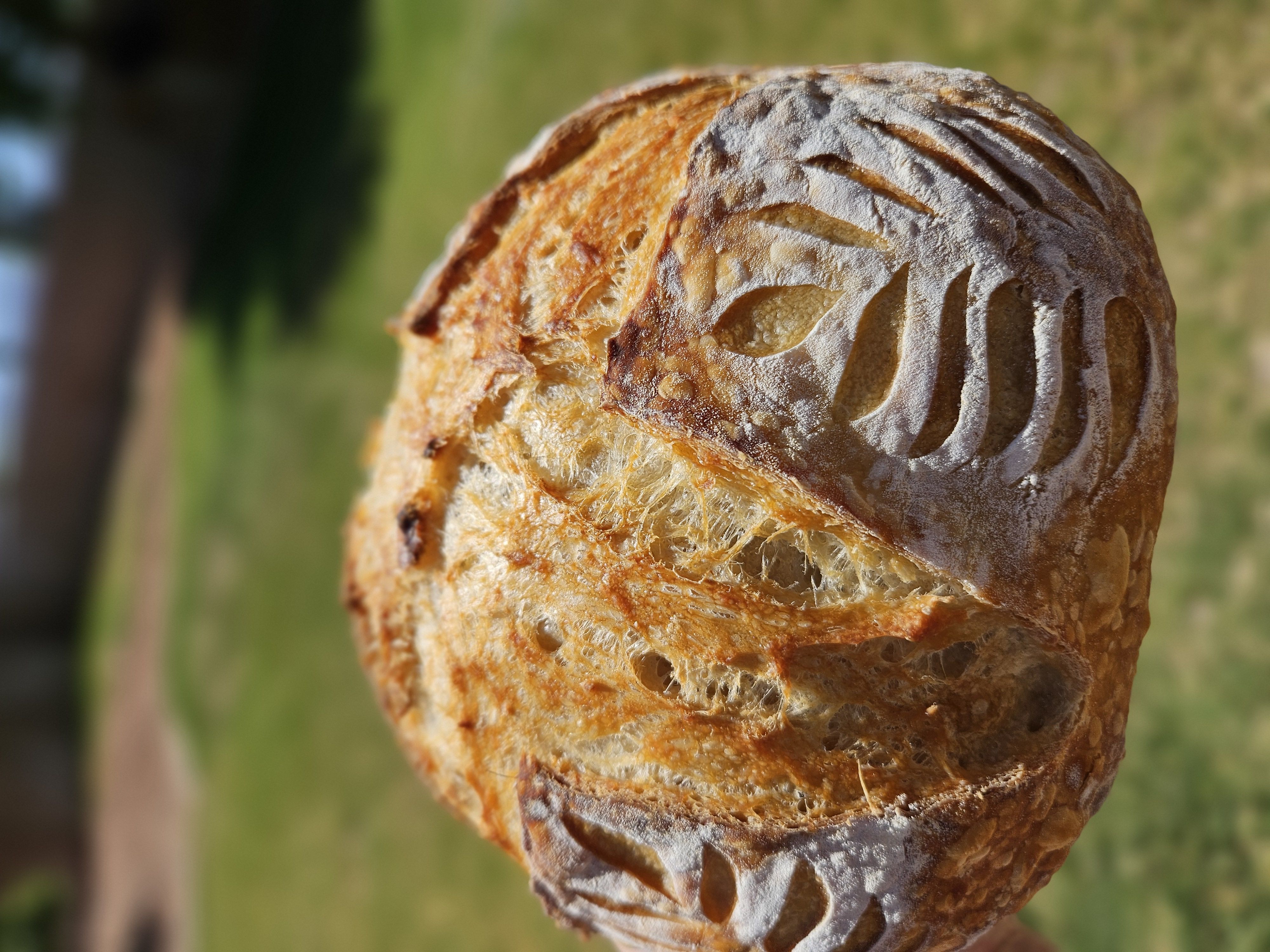 Classic Artisan Sourdough Boulle (Round) 