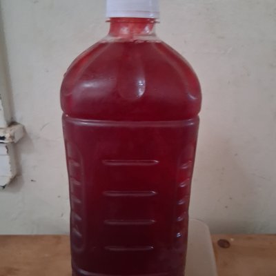 Hibiscus Lemonade 1/2 Gallon 