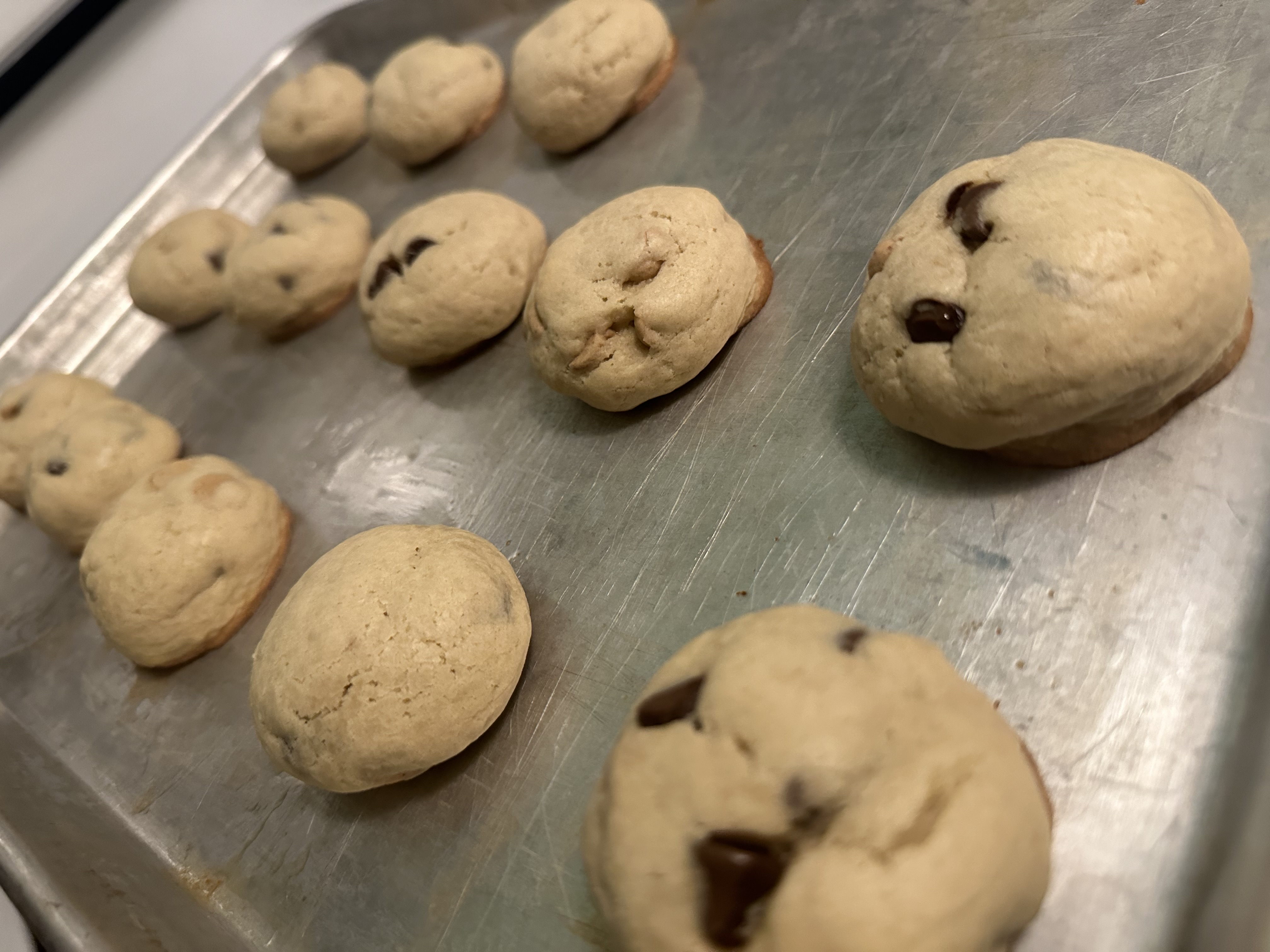 Chocolate & Peanut Butter Chip Cookies - 6 Count 