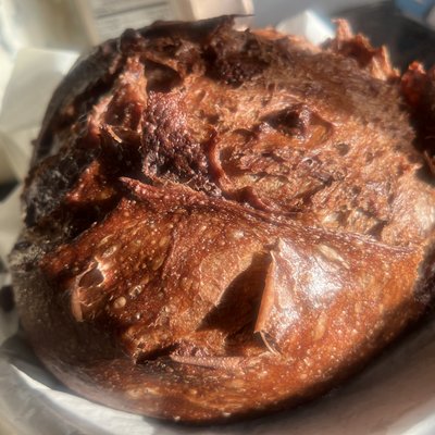 Double Chocolate Chip Sourdough