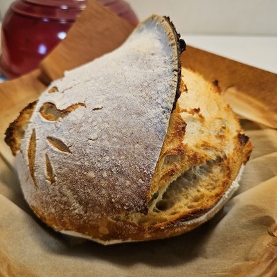 Rustic Sourdough Loaf