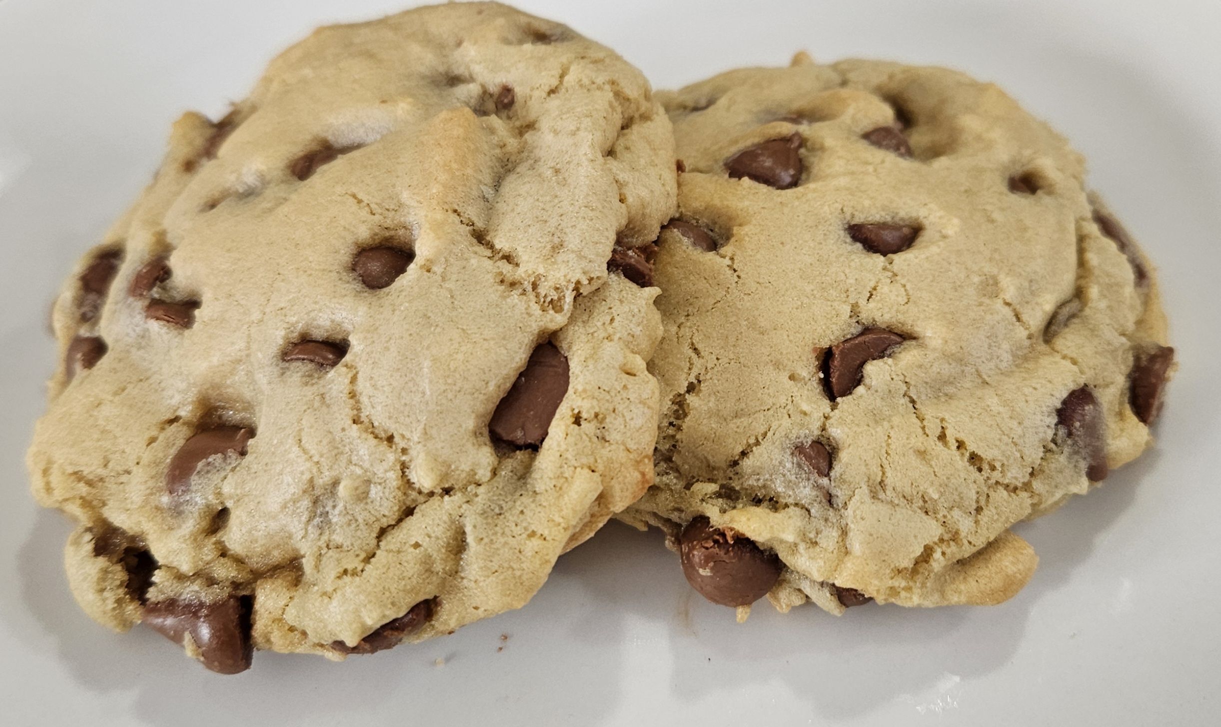 Chocolate Chip