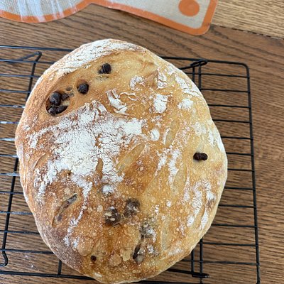 Chocolate Chip Sourdough Loaf