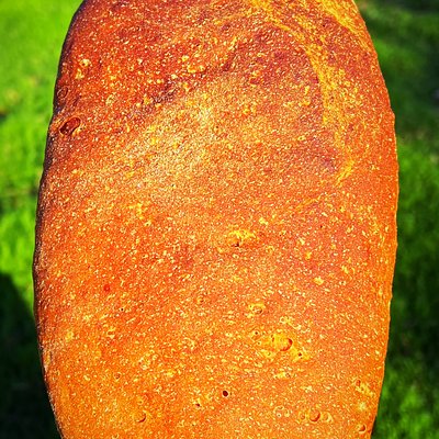 Pumpernickel