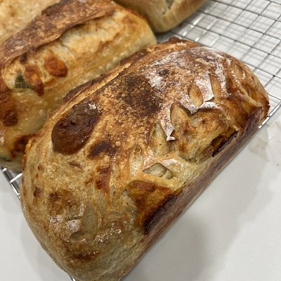 Garlic Parmesan and Cheddar Jack Sourdough 