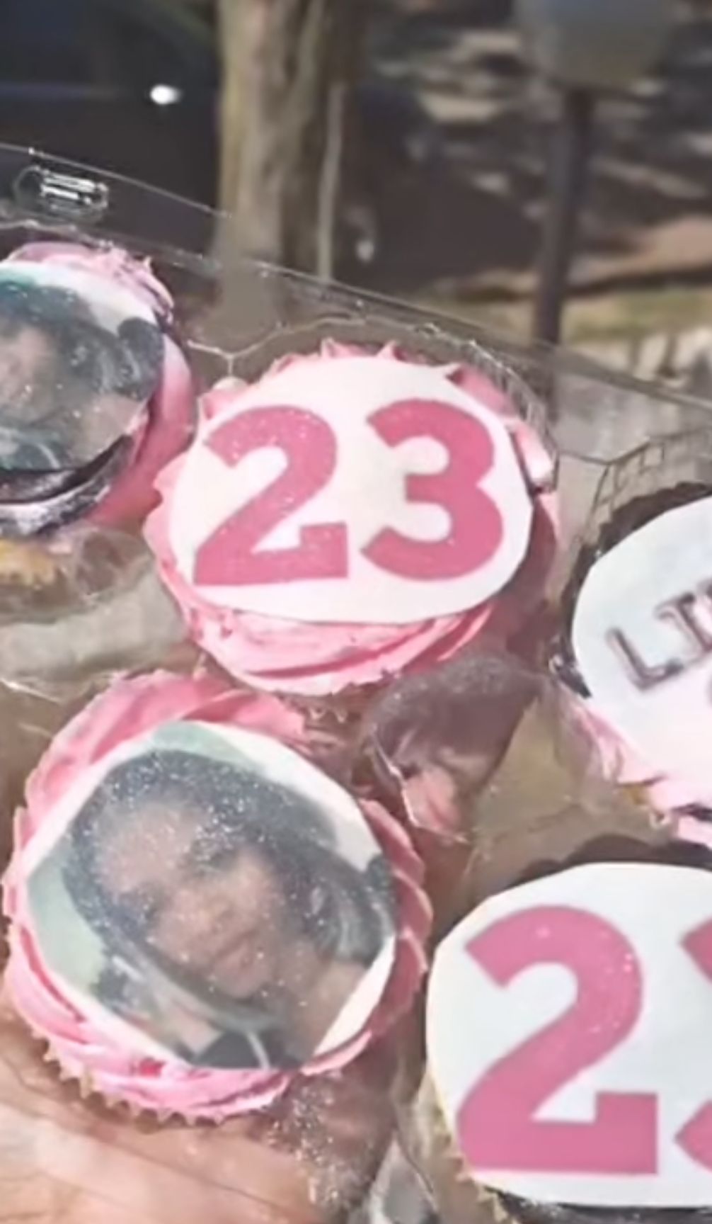 Cupcakes 