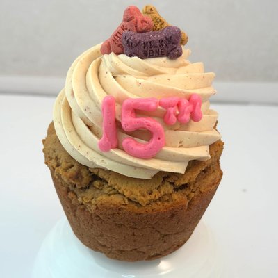Pupcake Jumbo Cupcake