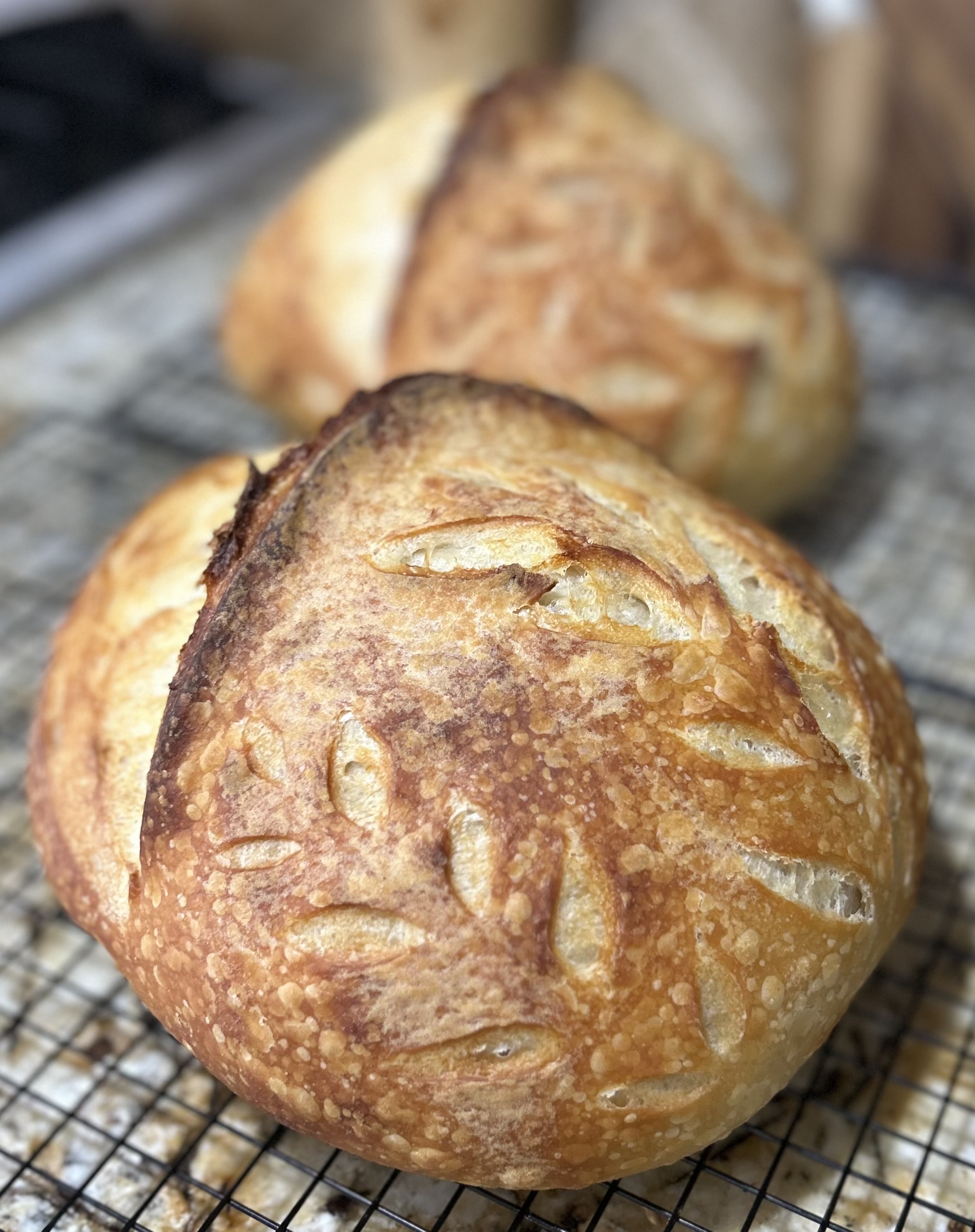 Plain Sourdough Boule