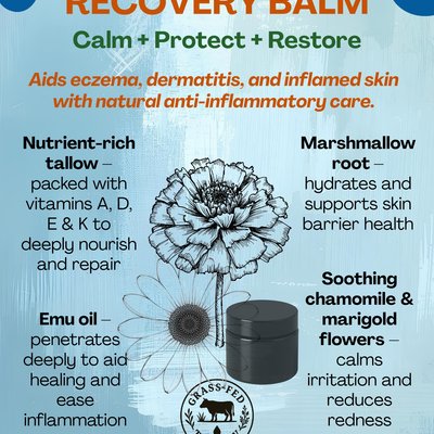 Grass Fed Tallow Recovery Balm