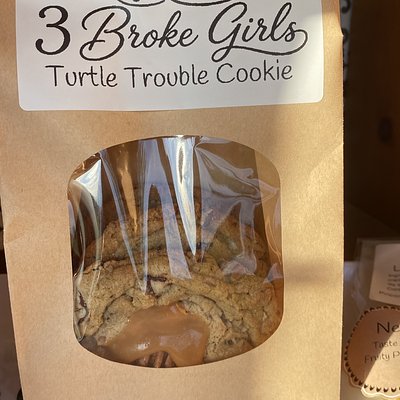 6ct Turtle Trouble Cookies