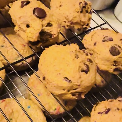 Pumpkin Chocolate Chip 