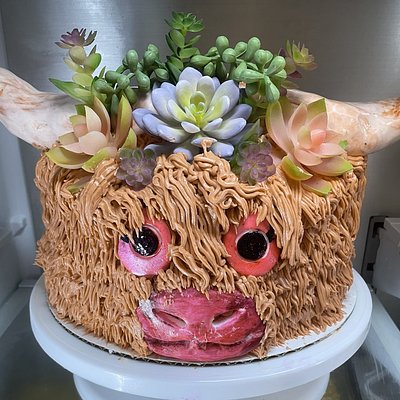 Highland Cow Cake