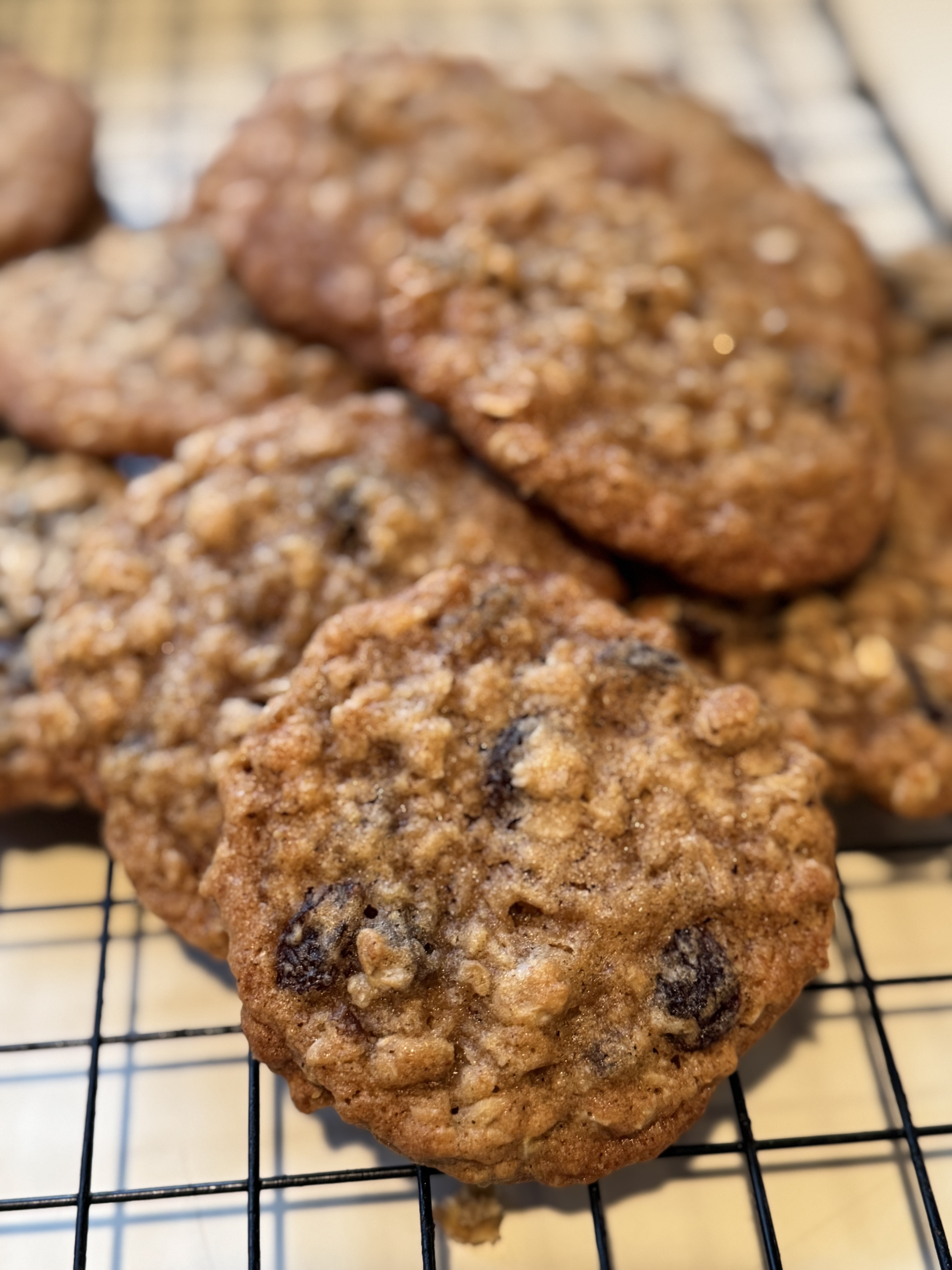 Oatmeal Raisin 