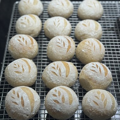 Sourdough Dinner Rolls