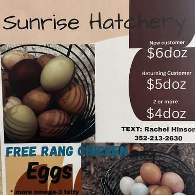Fresh Farm Eggs