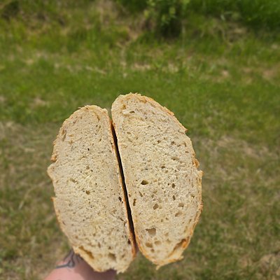 Herb&Cheese Sourdough Loaf